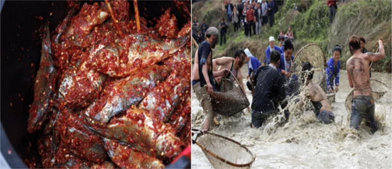 Fish and Rice at Sunrise: The Quiet Case for Making Poke Your Morning Meal