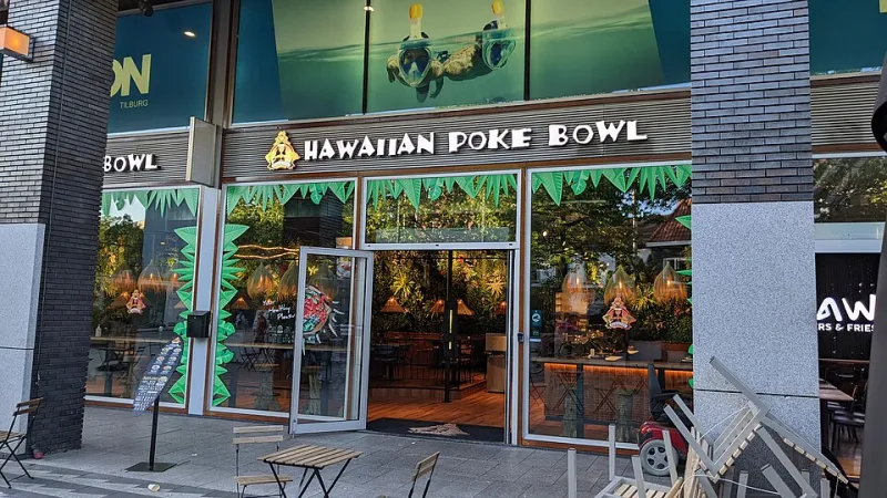 The Base Layer Breakdown: Choosing the Right Poke Bowl Foundation Changes Everything